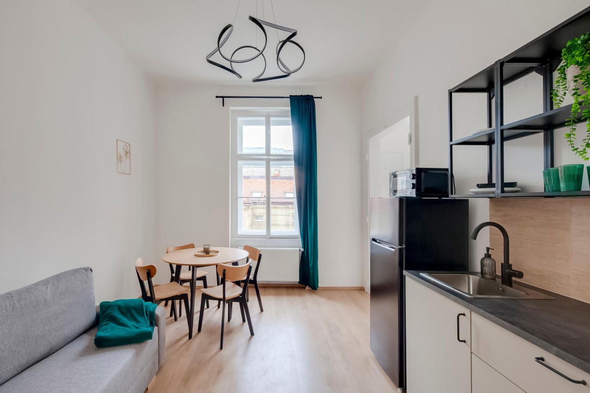 City Center Premium Apartment 布拉格 外观 照片