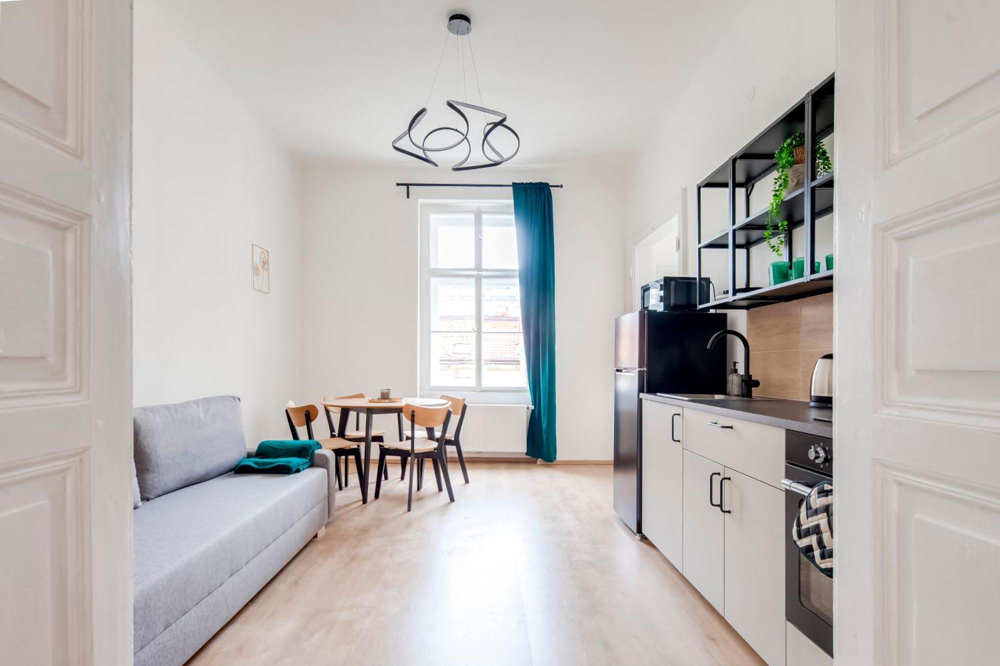 City Center Premium Apartment 布拉格 外观 照片